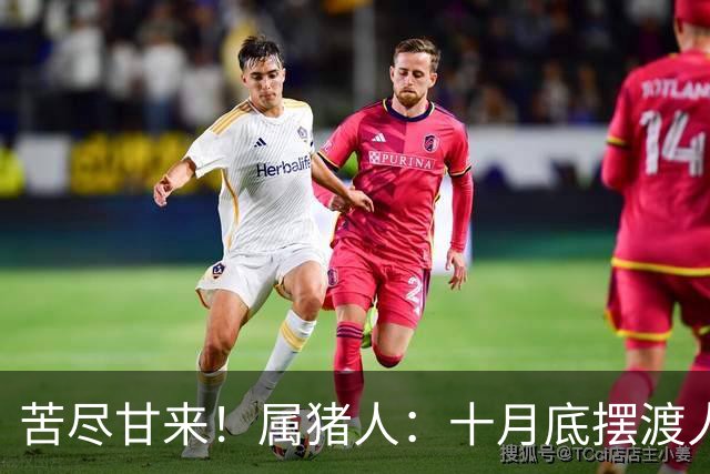 苦尽甘来！属猪人：十月底"摆渡人"悄然降临