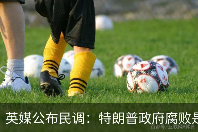英媒公布民调：特朗普政府腐败是美国中期选举选民最关心问题之一