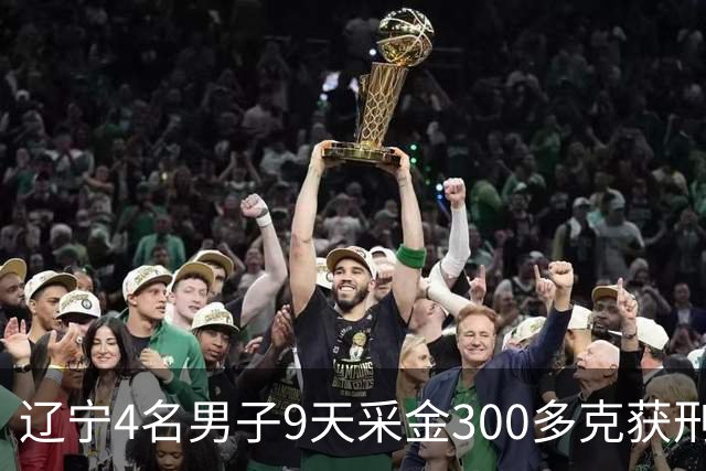 辽宁4名男子9天采金300多克获刑，村里砂土为何能淘金？土法筛金对人体和环境有何危害？